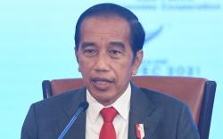  Ini Posisi dan Tugas Wamen ESDM yang Bakal Diangkat Jokowi 