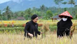 Ketua DPR Sebut Pertanian Bisa Jadi Wisata Unggulan di Indonesia