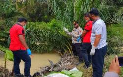 Mayat Bayi Dalam Karung di Asahan Ternyata Dibuang Ibu Muda saat Masih Hidup