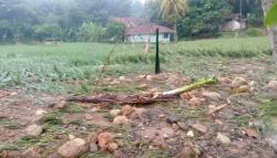 Tersapu Banjir Bandang, 4 Hektare Lahan Padi Siap Panen di KBB Rusak Parah