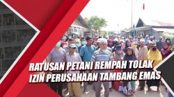 Ratusan Petani Rempah di Halmahera Selatan Demo Tolak Izin Perusahaan Tambang Emas