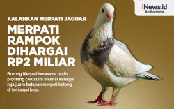 Fantastis, Harga Burung Merpati di Tegal Ini Rp2 Miliar 