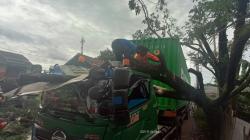 Hindari Angkot Ugal-ugalan, Truk Kontainer Tabrak Pohon di Sukabumi<