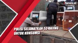 Polres Sukoharjo Selamatkan 53 Anjing yang Diperdagangkan untuk Konsumsi