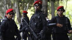 Cara TNI Rekrut Anggota Kopassus sebagai Prajurit Terbaik Antiteror, IQ Harus di Atas 110