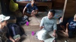 Puluhan Babi Mati Mendadak di Agam Sumbar, Diduga Terpapar Virus Flu Afrika