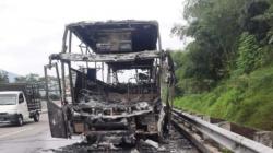 Bus Sudiro Tungga Jaya Terbakar di Tol Semarang-Solo, Para Penumpang Selamat