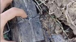 Kotak Misterius Ditemukan di Kuburan Tua, Pria Ini Tak Berani Bawa Pulang