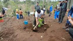 Antisipasi Bencana Banjir-Longsor, Perhutani Hijaukan Kembali Lahan Kritis di Garut
