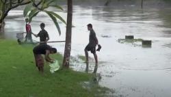 Sungai Badung Meluap, Warga Denpasar Panen Ikan 