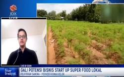 Melihat Potensi Bisnis di Balik Daun Kelor