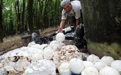 Petani di OKU Terima Bantuan Pembeku Karet dari Kementan 