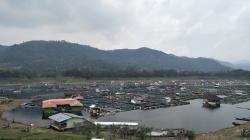 Pada 2021, Produksi Ikan Air Tawar di Bandung Barat Tembus 202 Juta Ton<