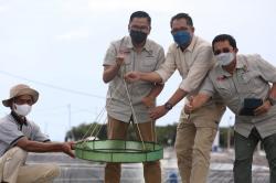 Leonard S Ampung: Gubernur Kalteng Berkomitmen Tinggi Kembangkan Shrimp Estate 