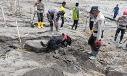 Menggemaskan, Anjing K-9 Pencari Korban Erupsi Gunung Semeru Ini Punya Nama-Nama Lucu 