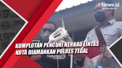 Video Komplotan Pencuri Kerbau Lintas Kota Diamankan Polres Tegal