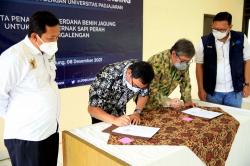 Sinergi LPDB-KUMKM dan Universitas Padjajaran Kembangkan Ekosistem Sapi Perah di KPBS Pangalengan