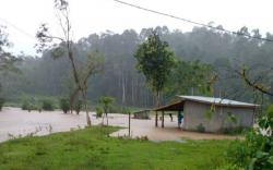5 Desa di Lahat Terendam Banjir, Sawah dan Kebun Kopi Warga Rusak <