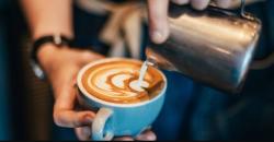 Terungkap, Ini Jenis Kopi yang Paling Banyak Digunakan di Kafe Kekinian