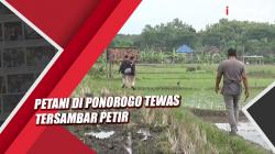 Tetap Bekerja saat Cuaca Ekstrem, Petani di Ponorogo Tewas Tersambar Petir