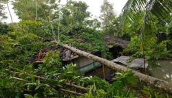 Hujan Es Terjang Pagelaran Cianjur, Rumah Warga Rusak dan Pohon Tumbang