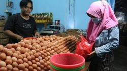 Harga Telur di Subang Lampaui Kenaikan Tahun Lalu, Rp32.000 per Kg<