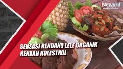Video Sensasi Rendang Lele Organik Rendah Kolestrol