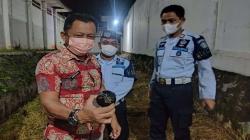 Sabu-Sabu dalam Bola Tenis Diselundupkan dengan Dilempar dari Luar Lapas Semarang