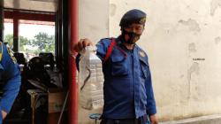 Akhir hingga Awal Tahun Musim Ular Bertelur, 18 Anak Kobra Ditemukan di Rumah Warga Bogor