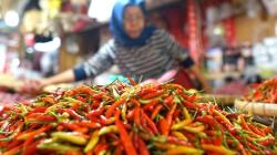 Harga Cabai Rawit Merah di Jakarta Anjlok Hari Ini