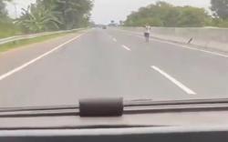Mobil Pengangkut Ikan Dilempari Batu di Jalan Tol Belawan