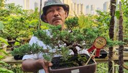 Merawat Bonsai Bernilai Tinggi di Bantaran Kali Ciliwung