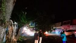 Pohon Besar di Jalan Raya Cianjur-Cipanas Tumbang Diserempet Truk, Lalu Lintas Macet
