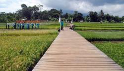 Kampung Wisata Tematik Mulyaharja Sajikan Pemandangan Sawah dan Gunung Salak