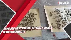 Video Kawanan Lalat Ganggu Aktivitas Warga di Musi Banyuasin