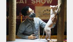 Kontes Kucing Ras Nasional