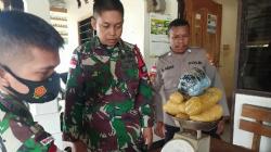 Tim Gabungan Amankan 1,5 Kg Ganja di Perbatasan RI-Papua Nugini, Pemilik Kabur