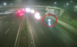 Mengemudi Sambil Lihat Google Maps, Pemotor Ini Malah Masuk Tol Serpong dan Kena Tilang