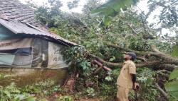 Ngeri, Hujan Disertai Angin Kencang Porak-porandakan 219 Rumah di KBB