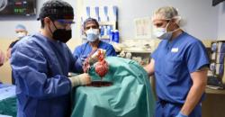 Terima Transplantasi Jantung Babi, Pria Ini Meninggal 40 Hari Pascaoperasi