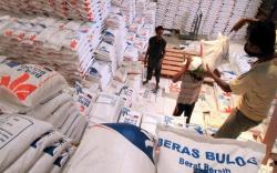 Pemerintah Bangun 25.000 Gudang Darurat untuk Simpan Stok Beras
