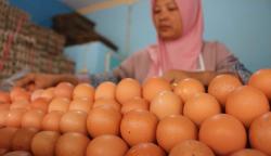 Konsumsi Telur Mentah Berbahaya, Begini Penjelasan Ahli Gizi UGM