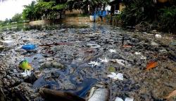 Setu Citongtut Bogor Tercemar Limbah, Ikan-Ikan Mati Air Menjadi Hitam dan Bau