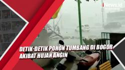 Ngeri, Detik-Detik Pohon Tumbang di Bogor akibat Hujan Angin