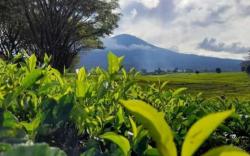 Inilah Berbagai Julukan Indonesia di Mata Dunia, Nomor 6 Bikin Merinding!
