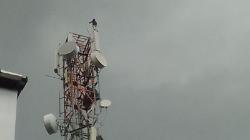 Barito Utara Geger Aksi Pemuda Naik Tower Setinggi 44 Meter, Dibujuk Uang Baru Turun<