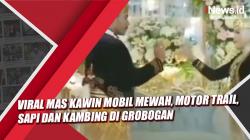 Video  Viral Mas Kawin Mobil Mewah, Motor Trail, Sapi dan Kambing di Grobogan
