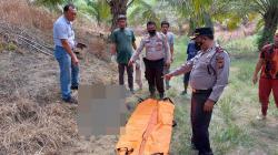 Diduga Diinjak Gajah, Warga Riau Tewas dengan Tubuh Remuk dan Usus Keluar
