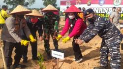 5 Hektare Lahan Bekas Tambang Ilegal di Toboali Disulap Jadi Kebun Jambu Mete