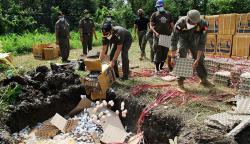 Puluhan Ribu Telur Ayam Arab Dimusnahkan Satpol PP Kalbar